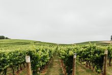 Jansz Tasmania
