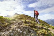 The Lake District is popular for holidays with dogs