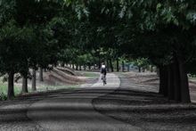 Cyclist on Australian Cycle Tours' Murray to the Mountains Rail Trail 