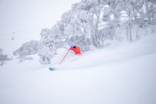 Powder Day
