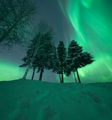 Aurora through the trees, just outside of Fairbanks, Alaska.