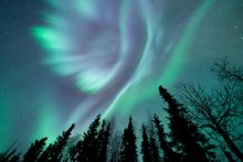 An angelic aurora, just outside of Fairbanks, Alaska.