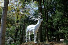 Kohei NAWA《White Deer (Meiji Jingu)》2020　paint on bronze　Photo: Keizo Kioku