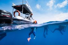 Keppel Dive
