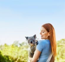 Lone Pine Koala Sanctuary_Koala cuddle