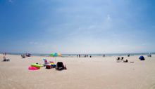 42 miles of pristine beaches along Florida's Hsitoric Coast