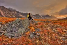 Tombstone Territorial Park-autumn