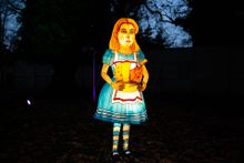 Christmas at Lightwater Valley - Alice in Winterland Lantern Trail