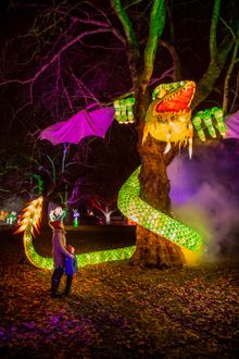 Christmas at Lightwater Valley - Lantern Trail