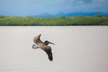 San Lucas Island National Park 