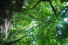 San Lucas Island National Park 