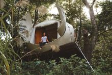 Egg treehouse 