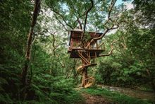 Wooden treehouse