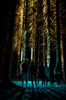 Alta Lumina attraction
