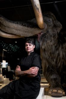 Nat Tallents, Executive Chef