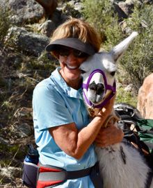 Arizona Backcountry Llamas