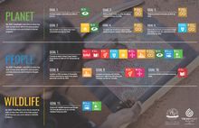 How We Tread Right's 11 Goals, developed to advance the United Nations Global Goals 