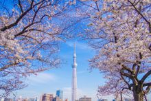 TOKYO SKYTREE from Sumida Park