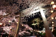 Kinugawa Onsen Shrine