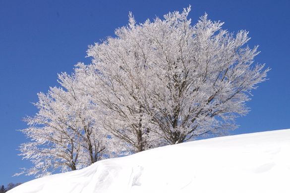Chausuyama Highlands.