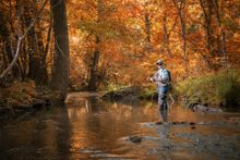Fly fishing near Winchester, Virginia