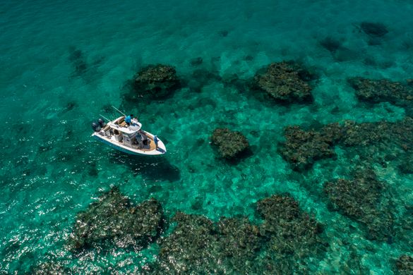 Saltwater paradise
