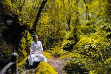 Immerse in the wilderness