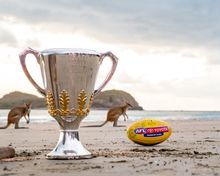 AFL Premiership Cup Trophy with kangaroos on Cape Hillsborough