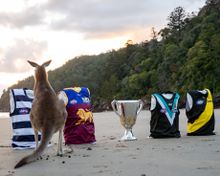 Cape Hillsborough Kangaroo Tips Geelong Cats as AFL Grand Final Winner