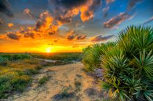 Juno Dunes Park