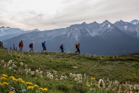 Heli-Hiking in the Columbia Mountains with CMH Summer Adventures