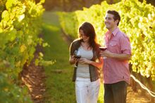 Winery Mornington Peninsula
