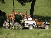 Fossil Rim Wildlife Center