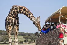 Fossil Rim Wildlife Center