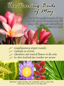Darling Buds of May Offer
