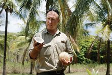 Talk talks coconuts at Thala Beach Lodge.