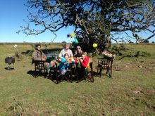The Powells -Arianna Birthday