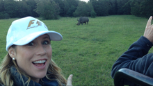 Rhino spotting