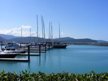 Abell Point Marina