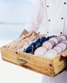 Indulging in fresh seafood is a key experience in the Whitsundays