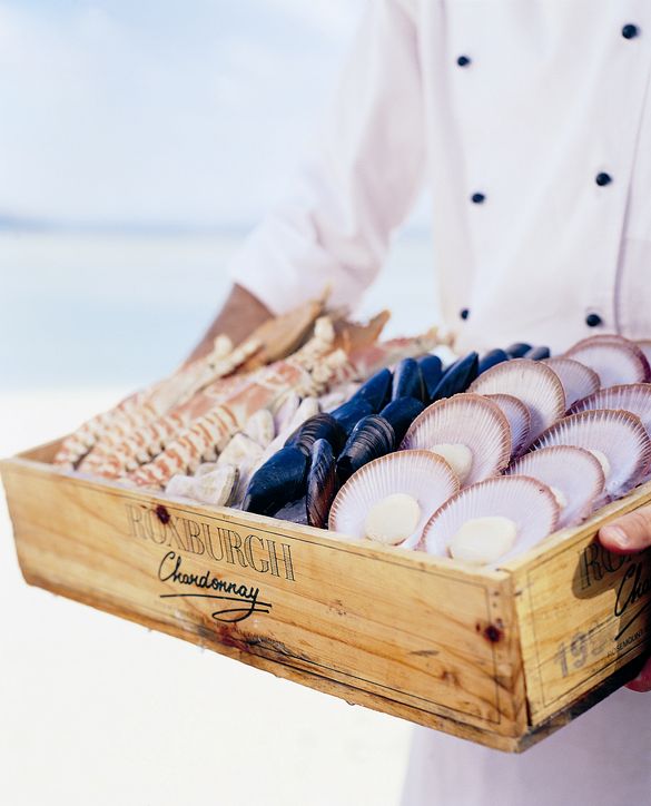 Indulging in fresh seafood is a key experience in the Whitsundays