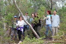 volunteers with the results of their weeding efforts