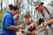 Koala Researcher Mel shows guests our daily Koala map