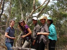 Chief Koala Researcher Janine with guests and wild koala Truganina