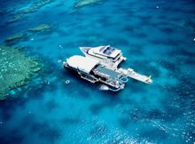 Cruise Whitsundays launched weddings and events on the Great Barrier Reef