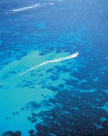 Ningaloo Reef