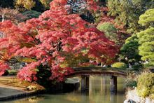 Rikugien Gardens
