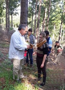 Delheim Wild Mushroom Hunt