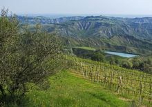 Passagio tra Oriolo dei Fichi e Brisighella
