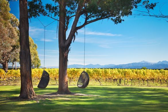Cloudy Bay Cellar Door Hanging Egg Chairs